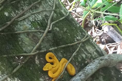 2023 Tropical Hike in the Gandoca-Manzanillo wild life Refuge