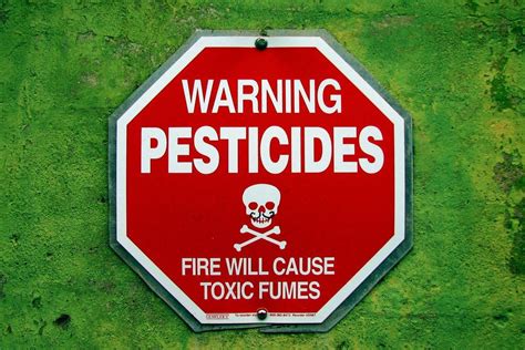 Importance of Biopesticides: Biopesticides, Importance of Biopesticides ...