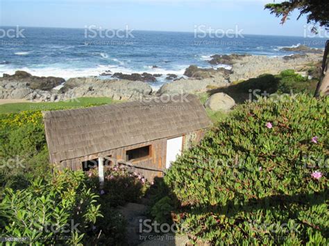 Isla Negra Beach Chile Stock Photo - Download Image Now - Art, Beach, Beauty - iStock