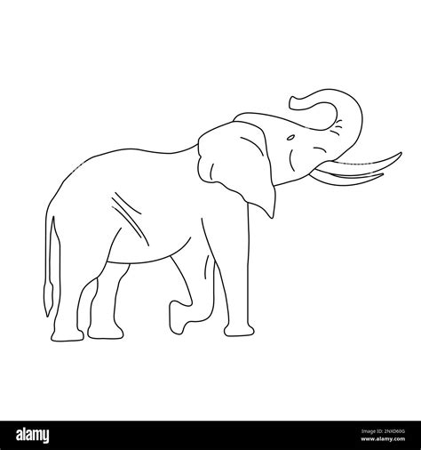 Simple linear illustration of an African elephant. Drawing for children's coloring. Tropical ...