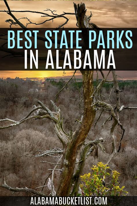 10 of The Best State Parks in Alabama • Alabama Bucket List