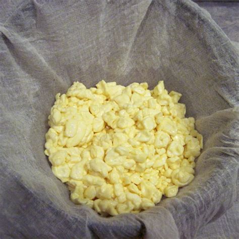 How to Make Cottage Cheese - Large Curd Cottage Cheese Recipe