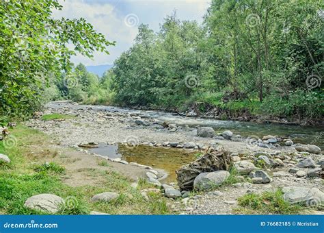 River Side, Europe, Romania, Sibiu County. Rocks, Trees and Wate Stock Image - Image of side ...