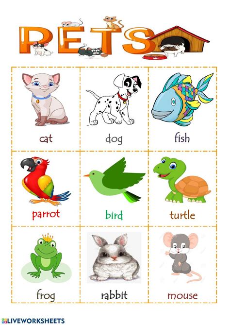 Pets Worksheet For Kids - 70 фото