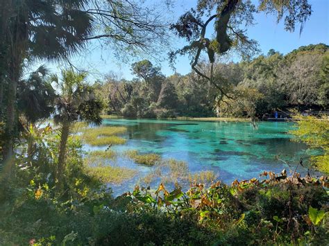 Rainbow Springs State Park - Go Wandering