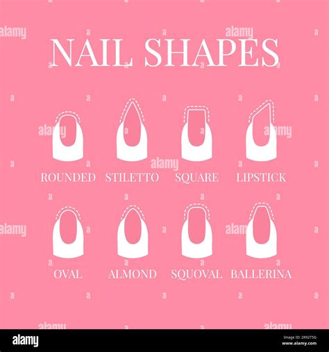 Nail shapes, illustration Stock Photo - Alamy