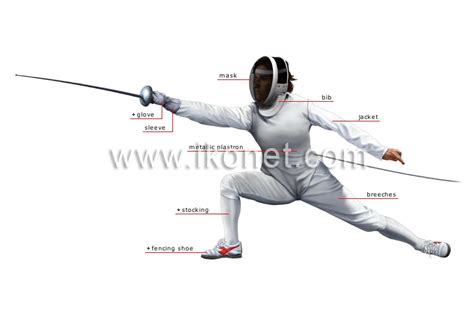 sports and games > combat sports > fencing > fencer image - Visual Dictionary