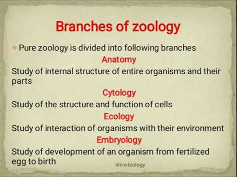 Branches of Zoology - YouTube