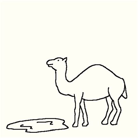 Camel Drink Eruption Doodle GIF | GIFDB.com