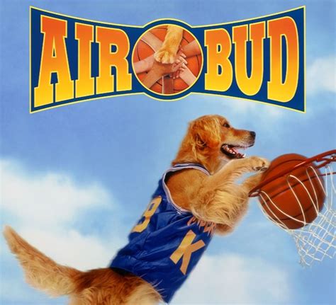 The Story of “Air Bud” and Buddy the Basketball-Playing Golden Retriever - Celebrity Pets