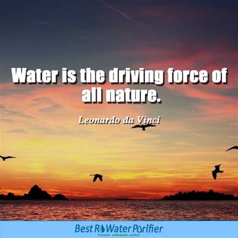 Save Water Quotes & Slogans - Best Quotes about Importance of Water ...