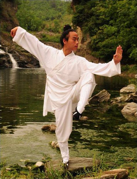 52 Best TAI CHI & QIGONG images | Tai chi qigong, Martial Arts, Qi gong