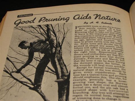Pruning | Bill Bradford | Flickr