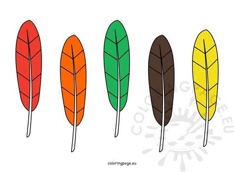 Color Turkey Feathers – Coloring Page