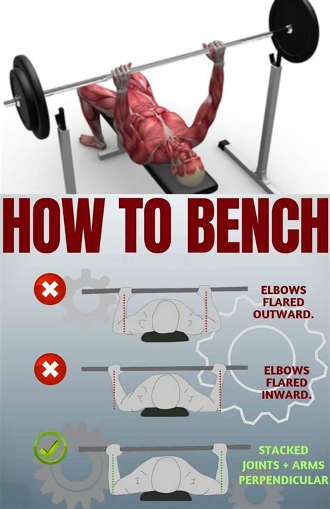 Technique For a Big Chest - How to Bench Press - GymGuider.com | Weight ...