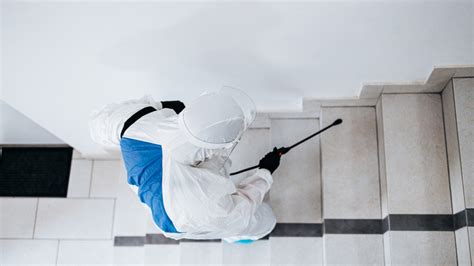 What You Can Expect To Pay When Hiring A Bed Bug Exterminator