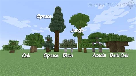 Trees in Minecraft | Minecraft 101