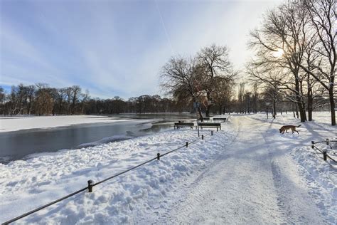 Englischer Garten in winter, Munich ⋆ BringFido
