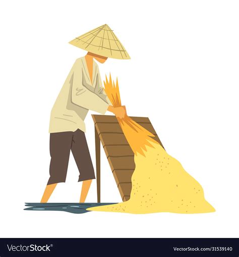 Asian farmer in straw conical hat harvesting rice Vector Image