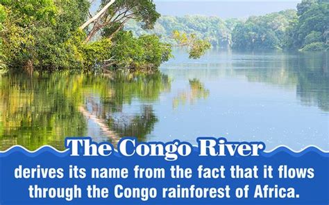 Congo River Basin Facts / Congo River By Lucas Dirtinger : The congo ...