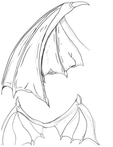 Dragon wings Drawing Reference and Sketches for Artists