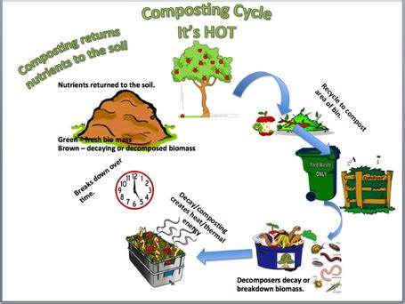 Composting Cycle