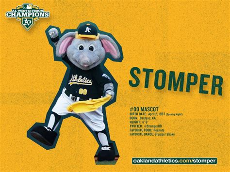 Oakland A's Mascot Stomper | Oakland athletics, Oakland, Athlete