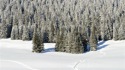 A List Of Unique Places For Winter Holidays in Poland 2019/2020