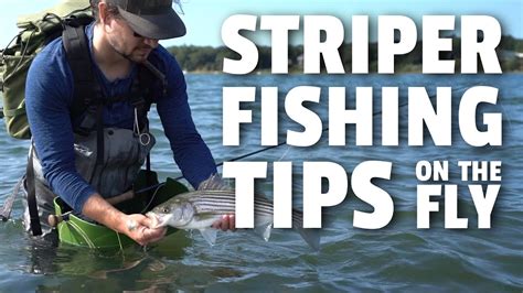 Striper Fishing Tips with a Fly Rod - YouTube