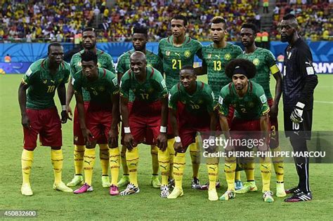 17 Alex Song Cameroon Team Photos & High Res Pictures - Getty Images