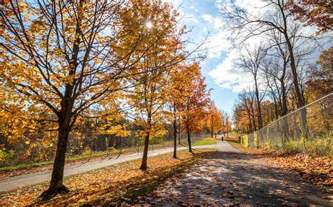 Where to Go Hiking in Niagara Falls: 7 Trails to Check Out in the City ...