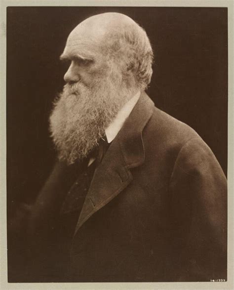 Charles Darwin | Cameron, Julia Margaret | V&A Explore The Collections