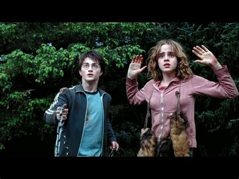 Buckbeak's Rescue | Harry Potter and the Prisoner of Azkaban [Open Matte 16:9] - YouTube