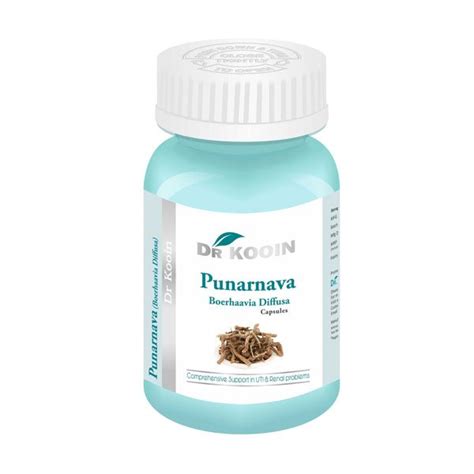 Punarnava Capsules – Wintrust Pharmaceuticals