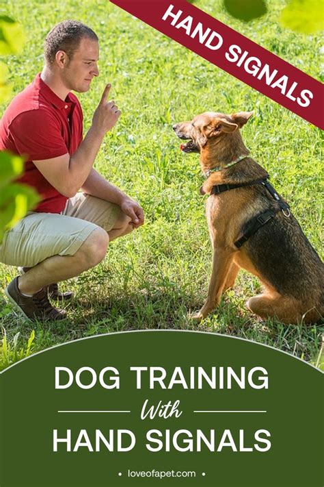 Dog Training With Hand Signals: What You Need to Know? - Love Of A Pet | Dog training, Puppy ...