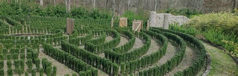 Can the Internet Save John B. McLemore's Hedge Maze From 'S-Town?'