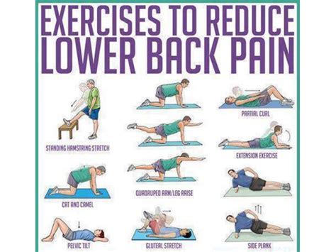 Back Pain? Try These Exercises! by Dr Jeff Langmaid Brandon, FL ...