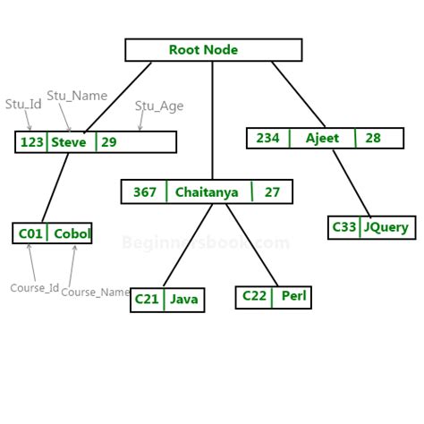 Hierarchical model in DBMS