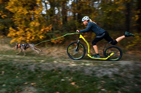 Dogscooter & Bikejöring - Zughundesport mit Fun-Factor