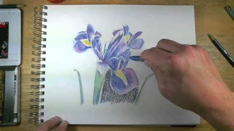 How to Draw with Watercolor Pencils - Live Lesson Excerpts - YouTube