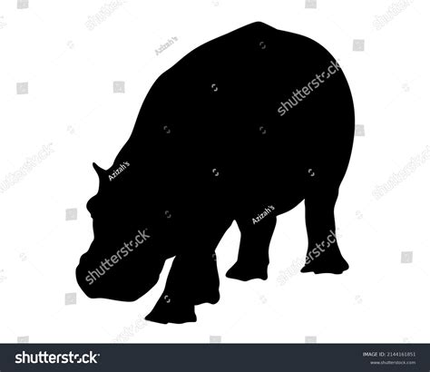 Hippopotamus Silhouette Isolated On White Background Stock Vector ...