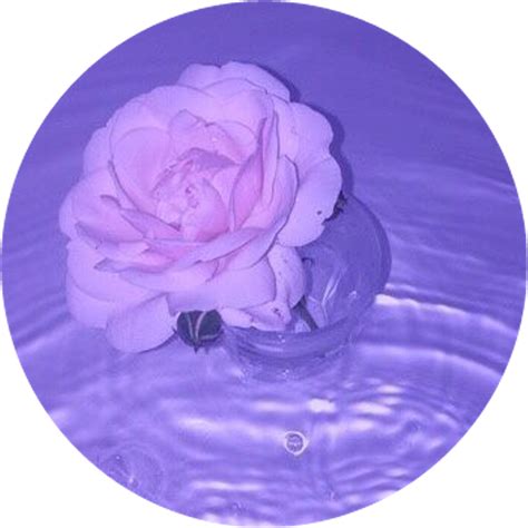 Camera Icon Aesthetic Purple Feedback Form Site | Hot Sex Picture