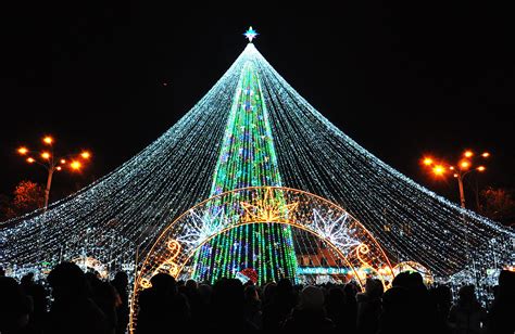 Choose your favorite Christmas Tree in UkraineEuromaidan Press | News ...