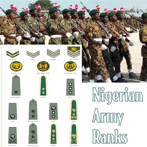 Nigerian Army Ranks and Salary Structure | The Updated List