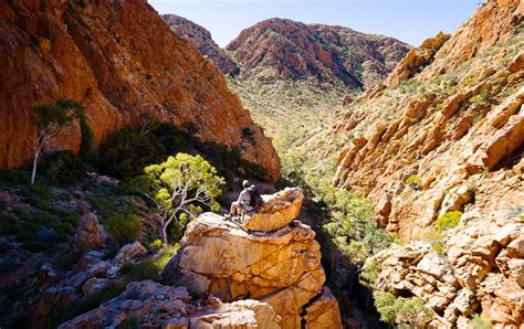 About the Trail – Trek Larapinta