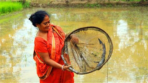 Fish Catch n Cook - Fish curry recipe by Villagers - YouTube