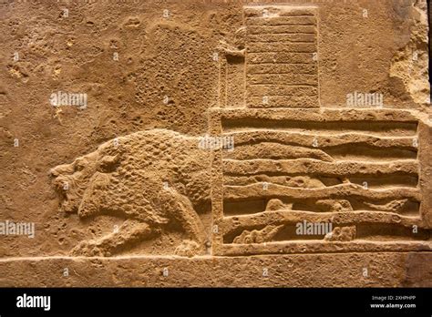 Lion Hunt of Ashurbanipal. British Museum, London, England Stock Photo ...