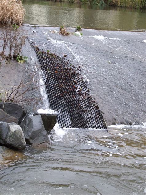 Habitat preferences of the critically endangered European eel - Inside ...