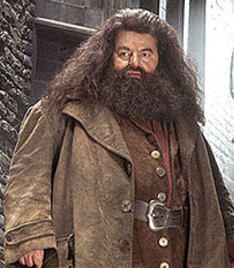 Rubeus Hagrid | Warner Bros. Entertainment Wiki | Fandom