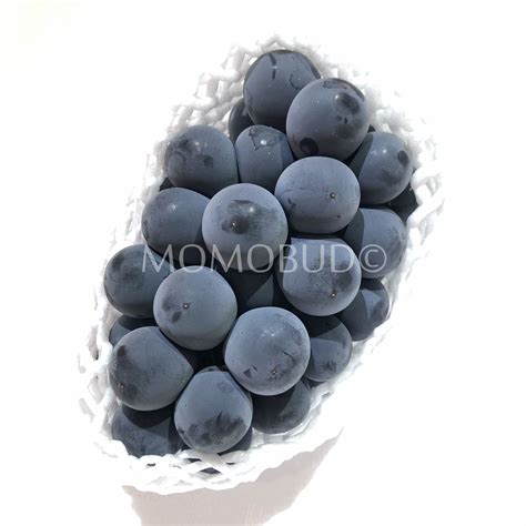 Japanese Pione Seedless Grapes (600-700g approx) — MomoBud